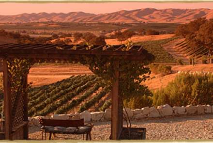 R N Estate Vineyard