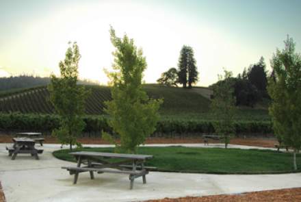 Goldeneye Winery