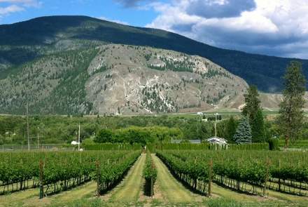 Hidden Chapel Winery