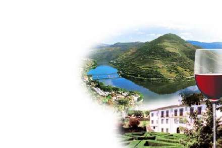 Quinta das Carvalhas