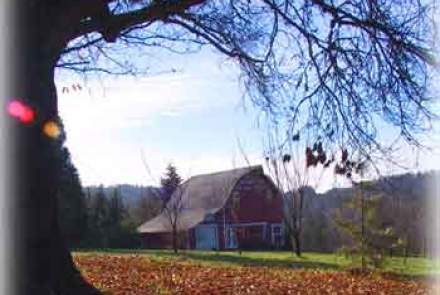 Maresh Red Hills Vinyard Retreat 