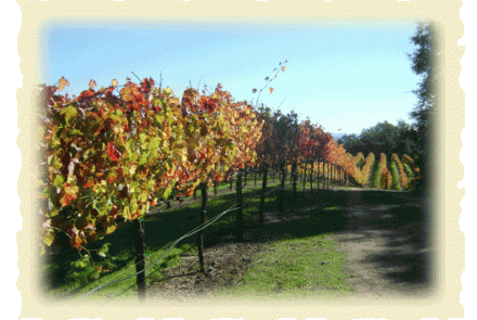 Blanchard Family Wines