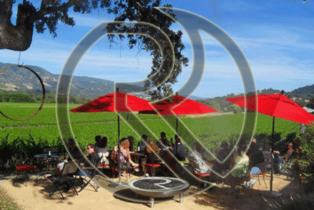 RIVINO Winery