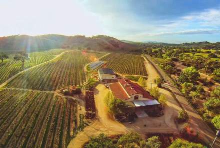 Cass Vineyards and Winery