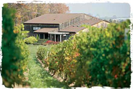 Thirty Bench Wine Makers