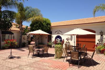 Altipiano Vineyard and Winery 