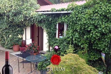 Trium Winery 
