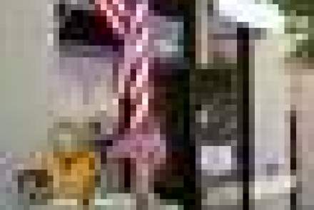 Toad Hollow Vineyards