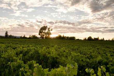 Whetstone Wine Cellars