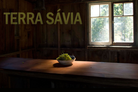 Terra Savia/Olivino