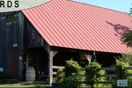 Sharp Rock Vineyards