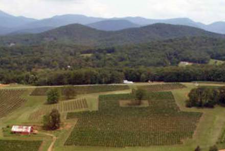 Three Sisters Vineyards and Winery