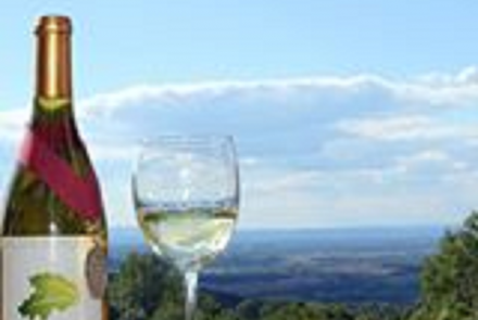 Twin Oaks Tavern Winery