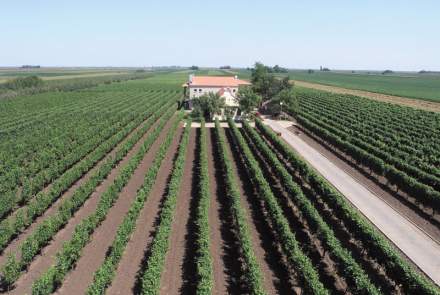 Vindulo