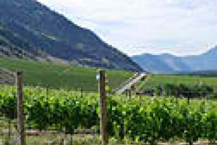 Wayne Gretzky Estate Winery