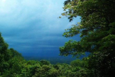 Willowcroft Farm Vineyards