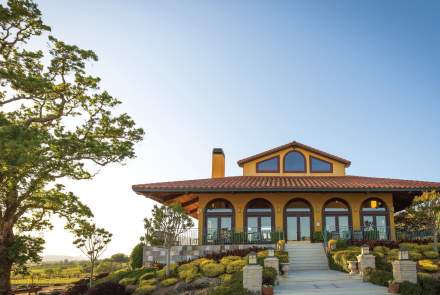 Hanna Winery and Vineyards