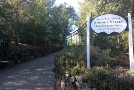 Sonoma View Vineyard