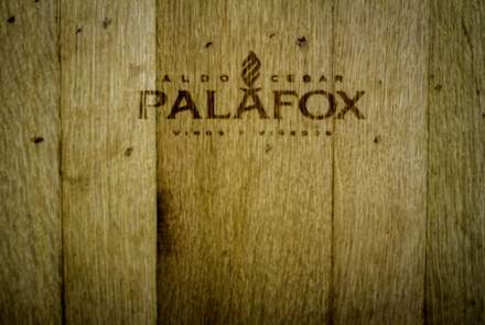 Viñedos Aldo César Palafox