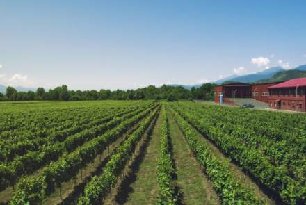 Tbilvino თბილღვინო