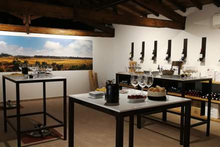 Viñedos y Bodegas la Marquesa