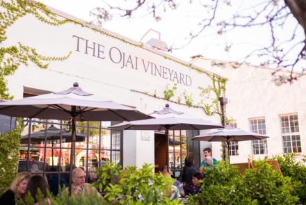 The Ojai Vineyard