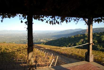 Mount Eden Vineyards