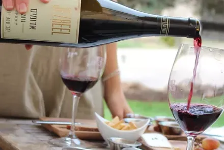 Jezreel Valley Winery