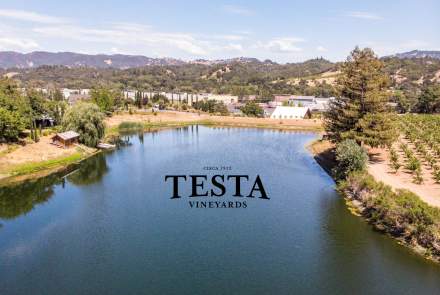 Testa Vineyards