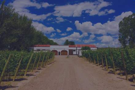 Estrella de los Andes